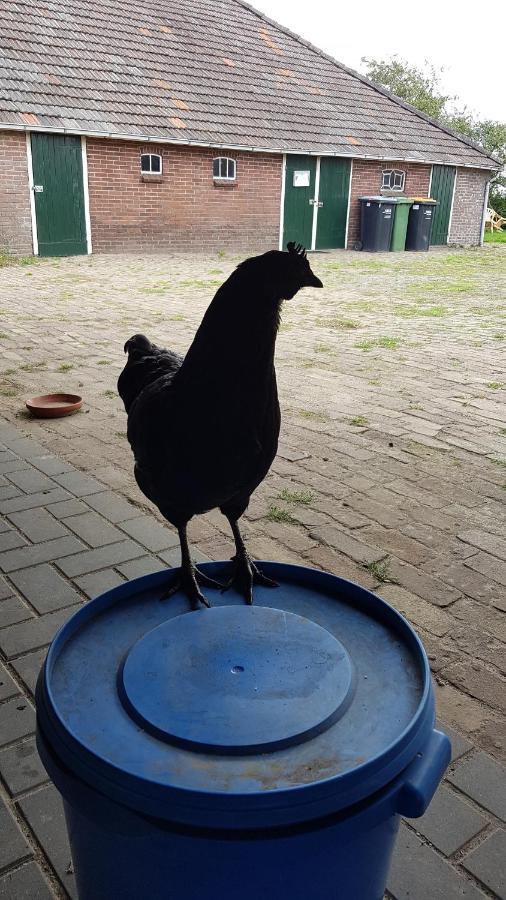 Logeerruimte In Gerenoveerde Boerderij In Wachtum Apartment Exterior foto