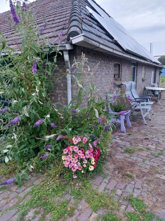 Logeerruimte In Gerenoveerde Boerderij In Wachtum Apartment Exterior foto